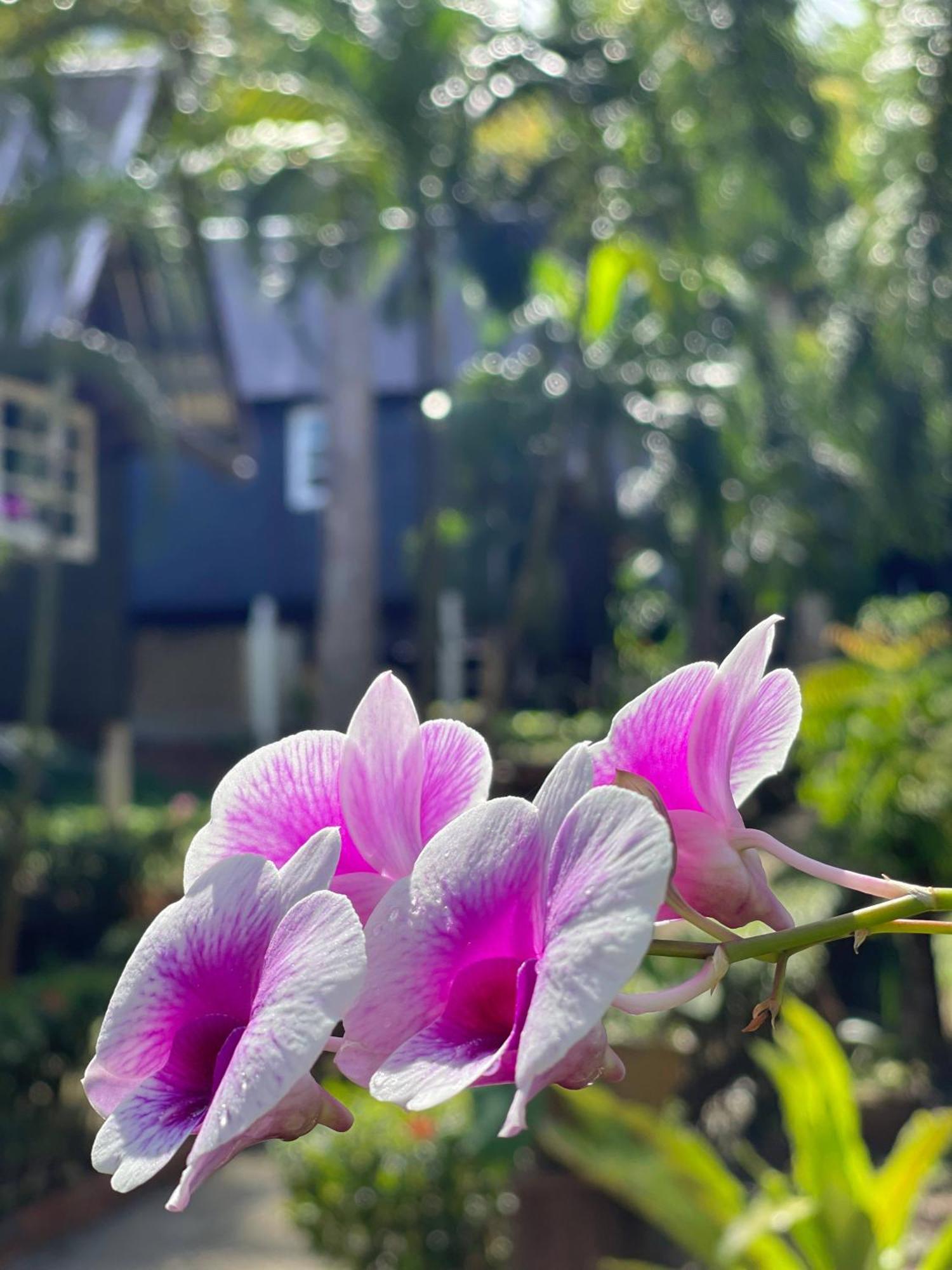 Vanara Bungalows Koh Chang Eksteriør bilde